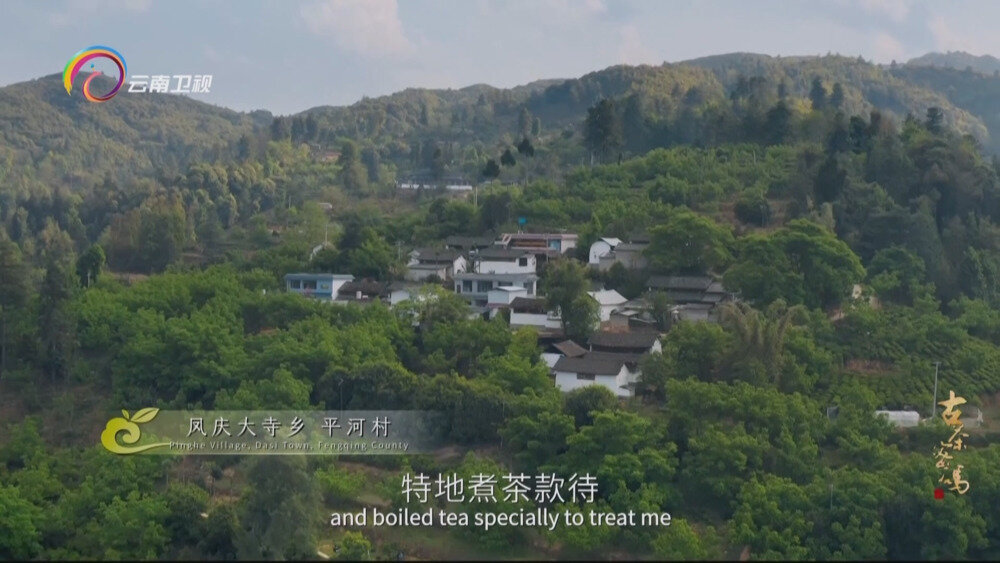 图片[4]-[百度/夸克][云南卫视 古茶密码 全3集 电视源码 20250908][1080I/TS][5.2G]-影音屋