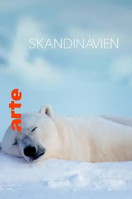 [夸克下载][极夜半岛 第一季][全2集][HDTV-TS/每集约3G][国语中字][1080i][CCTV9源码录制]-影音屋