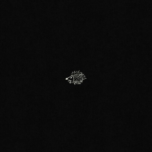 Ghost (王琳凯)《对 是错的》[320/KMP3][12MB]-影音屋