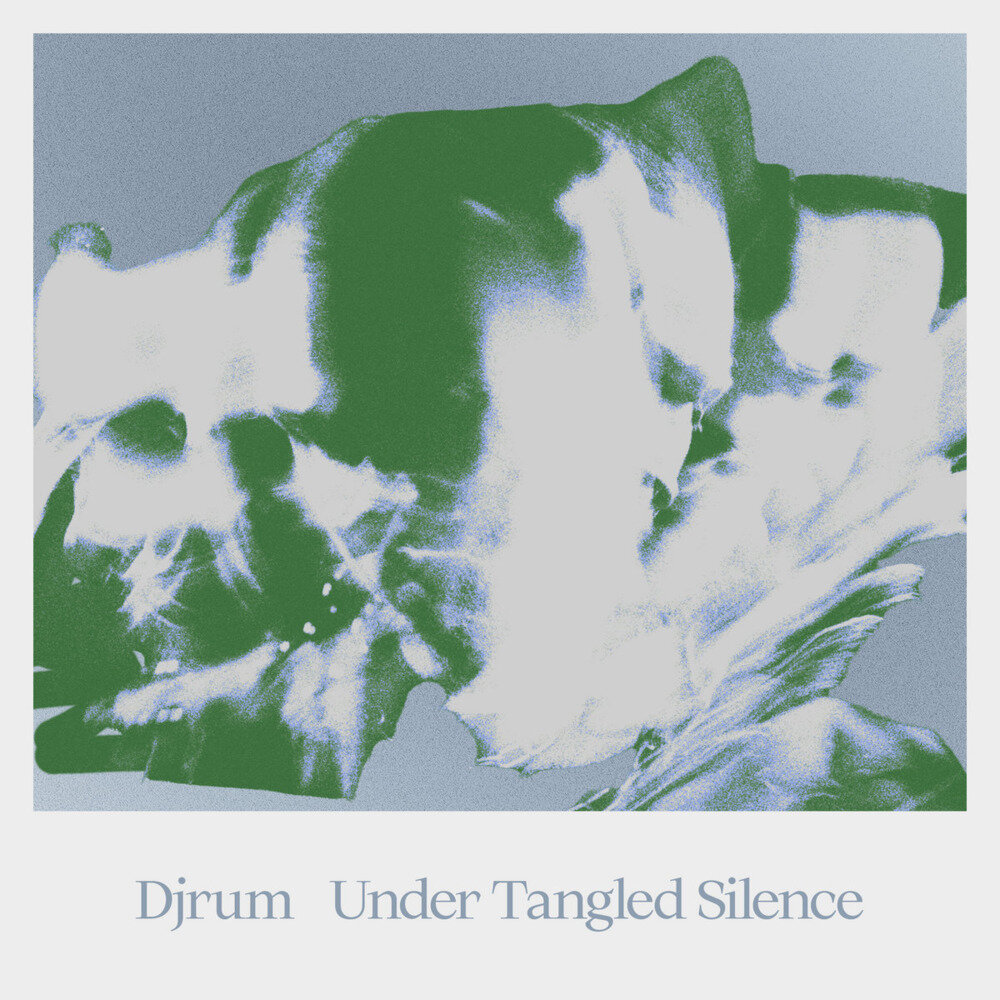 Djrum《Under Tangled Silence》[24Bit-44.1kHz][FLAC/分轨][683.03MB]-影音屋