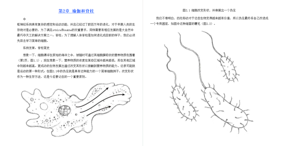 图片[3]-瑜伽解剖学（ 全彩图解第2版 ）[epub]-影音屋