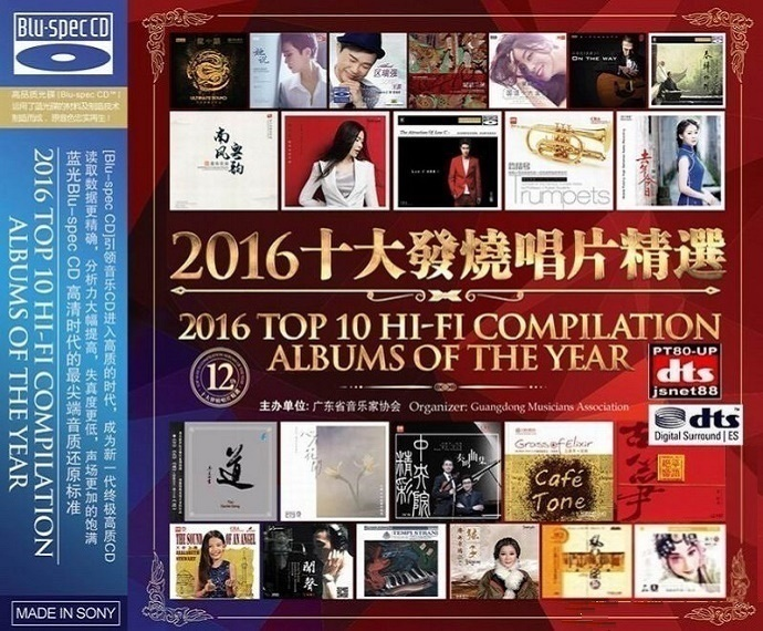 群星《2016十大发烧唱片精选 2CD》值得收藏的精选唱片[WAV分轨][1.7G]-影音屋