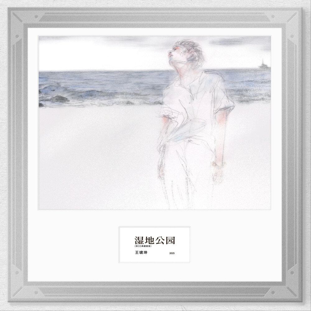 王啸坤《湿地公园》[320K/MP3][95.78MB]-影音屋