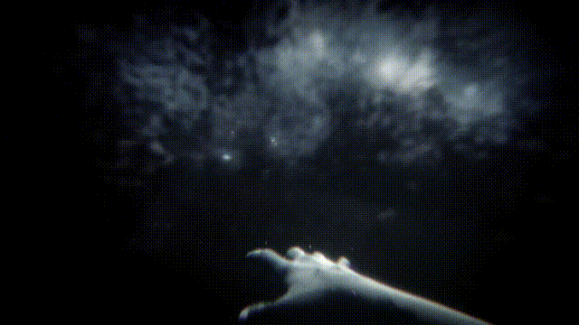 《生化危机7戏谑隔离篇-初始时刻(Resident Evil 7 Teaser Beginning Hour)》V1.03(Build7578457)官方中文版[俄网Portable 2025.11.03更新3.58G]-影音屋