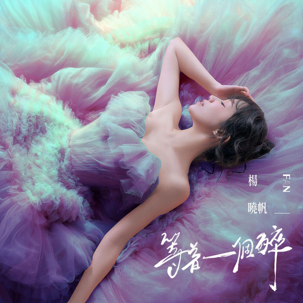 杨晓帆《等着一个醉》[24Bit-48kHz][FLAC/分轨][178.86MB]-影音屋