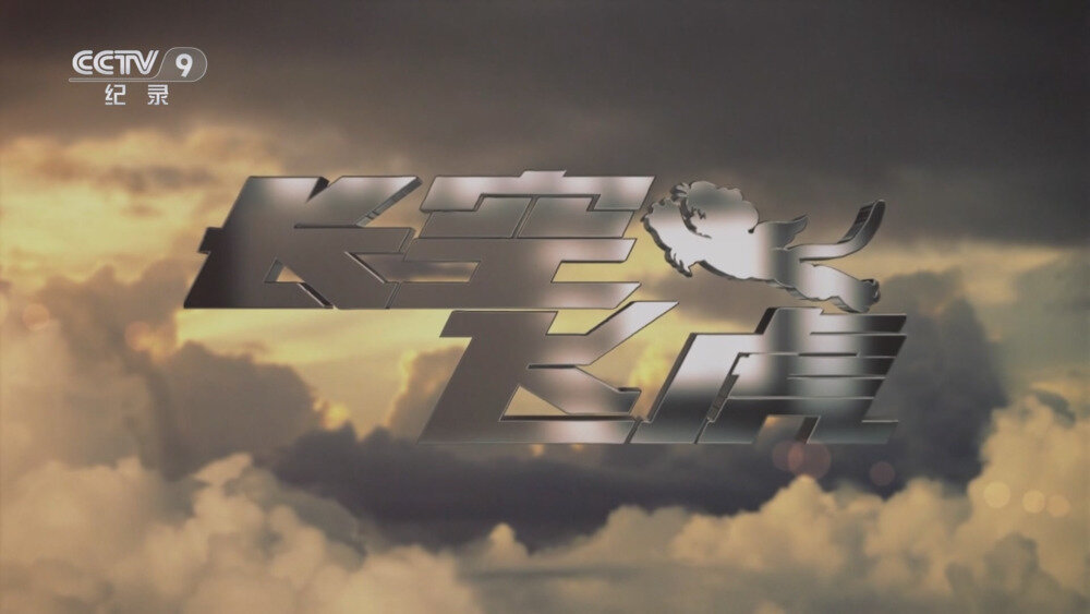 [百度/夸克][CCTV9 长空飞虎 电视源码 全3集 20250905][1080I/TS][5.24G]-影音屋