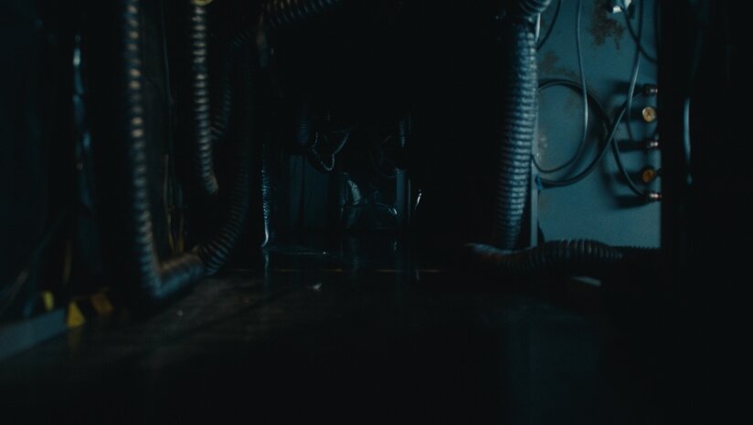 图片[7]-《死亡重启（Dead Reset）》官方中文 DOGE镜像版-影音屋