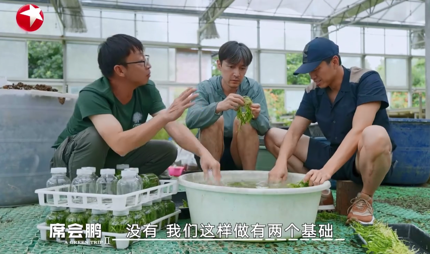 图片[3]-[一路前行 第二季][更至03.8期][WEB-MP4/10G][国语中字][1080P][胡歌 刘涛 刘诗诗][夸克下载]-影音屋