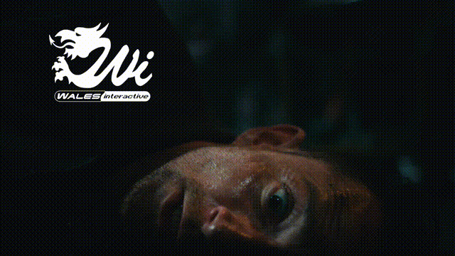 《死亡重启(Dead Reset)》V1.0.4(Build20419318)官方中文版[俄网let'splay 2025.10.27更新14G]-影音屋