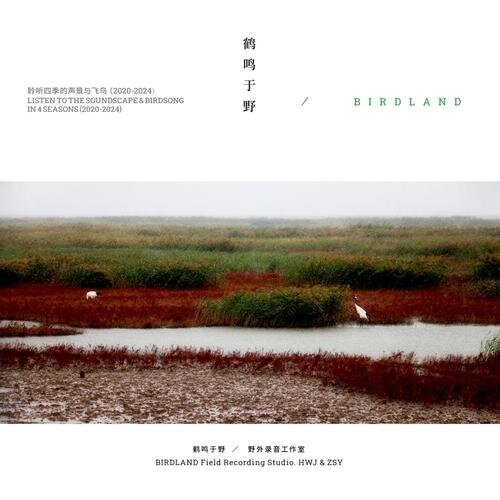 鹤鸣于野《鹤鸣于野 ——聆听四季的声景与飞鸟（2020~2024）》[320K/MP3][158.87MB]-影音屋