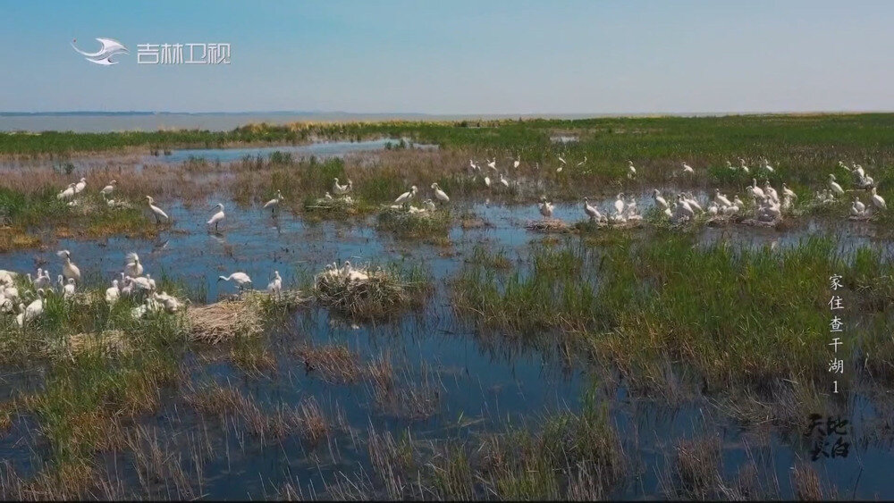 图片[2]-[百度/夸克][吉林卫视 天地长白 全8期 电视源码 20250908][1080I/TS][15.06G]-影音屋