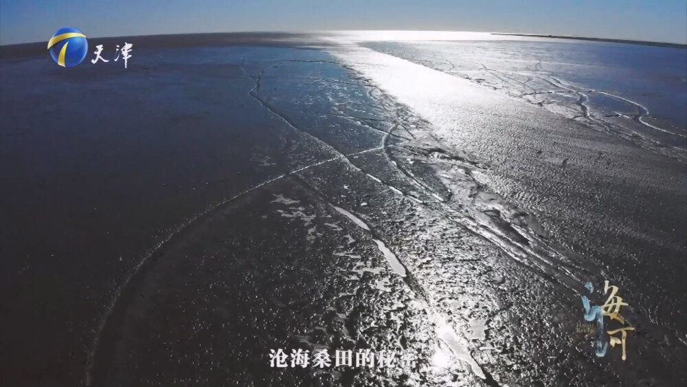 图片[2]-[百度/夸克][天津卫视 海河 全6集 电视源码 20250908][1080I/TS][10.15G]-影音屋