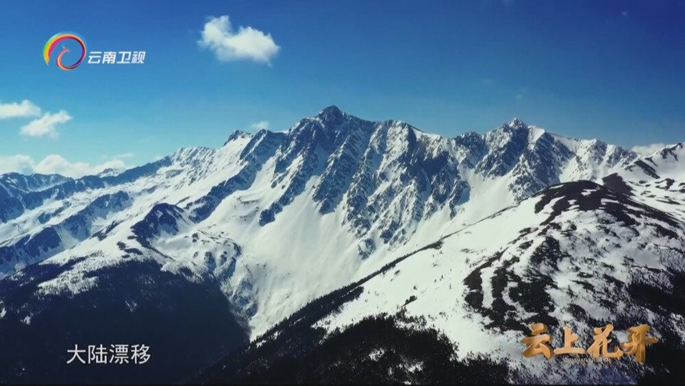 图片[2]-[百度/夸克][云南卫视 云上花开 全4集 电视源码 20250907][1080I/TS][4.94G]-影音屋