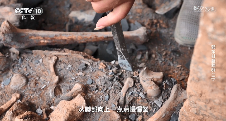 图片[3]-[探索·发现][更至2025年 第079-081期 郭东村墓葬群][WEB-MKV/11.6G][国语中字][1080P][夸克下载]-影音屋