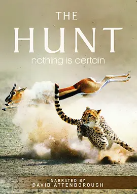 [夸克下载][猎捕 The Hunt 第一季][全7集][HDTV-TS/每集约3G][国语中字][1080i][CCTV9源码录制][BBC纪录片]-影音屋