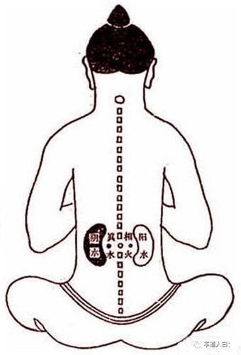 《补肾壮阳道家秘法》[PDF]-影音屋