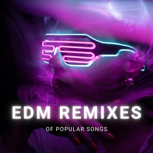 Various Artists《EDM Remixes of Popular Songs》[16Bit-44.1kHz][FLAC/分轨][610.91MB]-影音屋