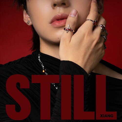 齐翔 XIANG《STILL (Explicit)》[FLAC/分轨][129.4MB]-影音屋