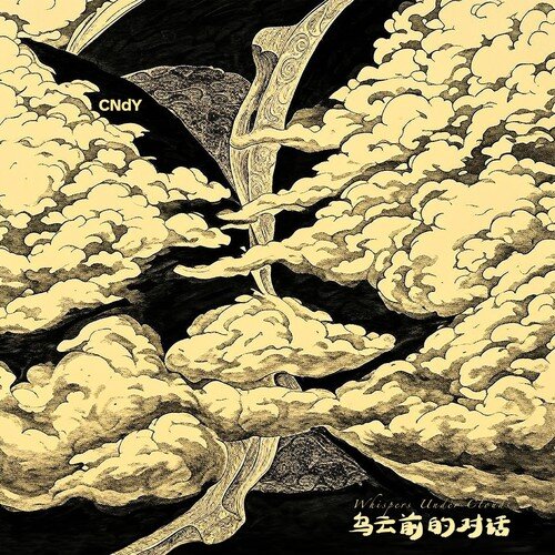 CNdY《乌云前的对话》[320K/MP3][111.56MB]-影音屋