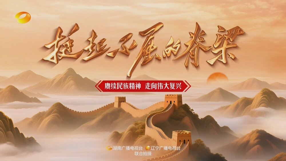 [百度/夸克][湖南卫视 挺起不屈的脊梁 第八集 复兴 电视源码 20250903][1080I/TS][1.16G]-影音屋