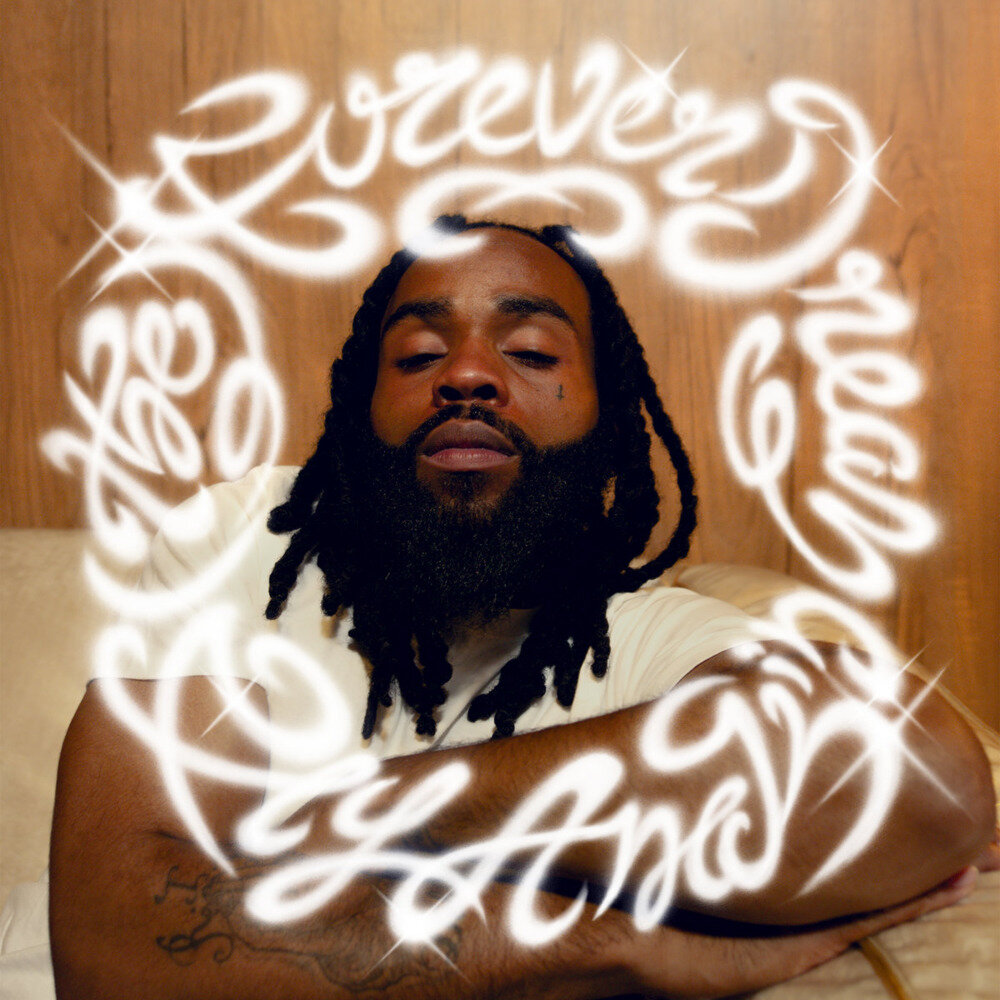 Fly Anakin《(The) Forever Dream》[Hi-Res][24Bit-48kHz][FLAC/分轨][595.87MB]-影音屋