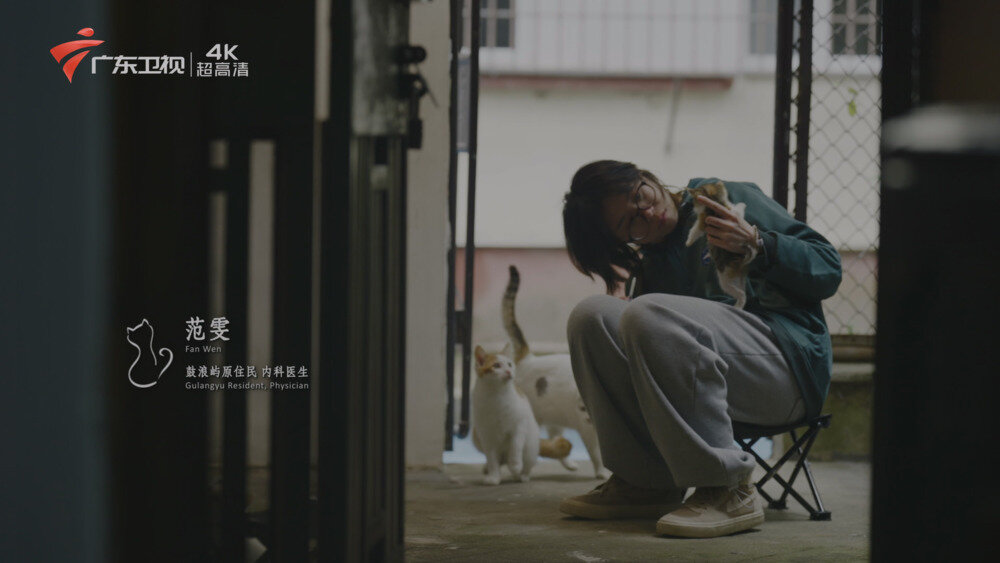 图片[3]-[百度/夸克][广东卫视4K 养猫的人 全6集 电视源码 20250910][2160I/TS][69.86G]-影音屋