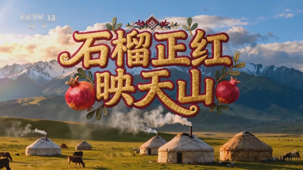 [百度/夸克][CCTV13 特别节目 石榴正红映天山 全3集 电视源码 20250923][1080I/TS][7.24G]-影音屋
