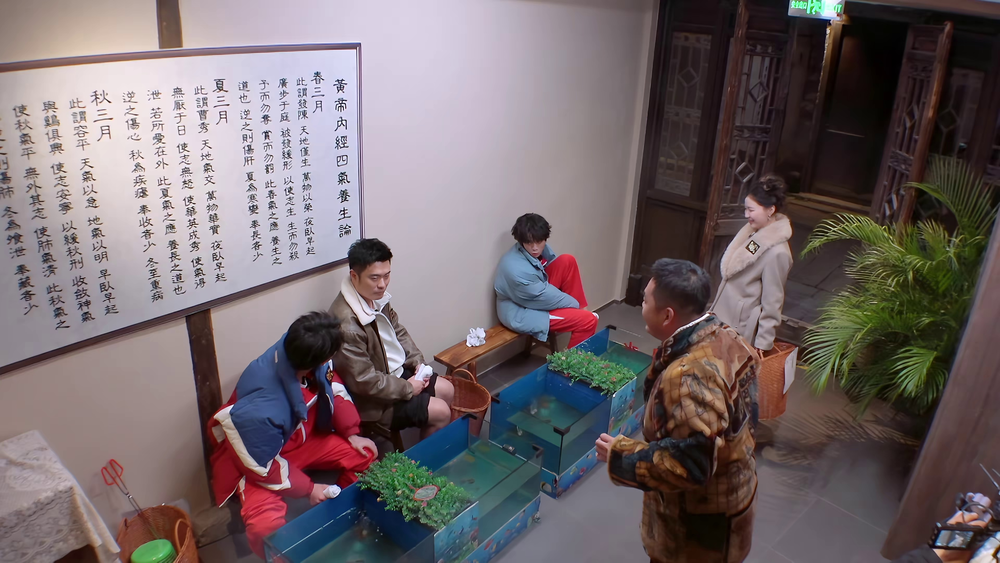 图片[4]-[盒子里的猫.第二季][更新至3.28期][WEB-MP4/29G][国语中字][1080P][附第一季][夸克下载]-影音屋