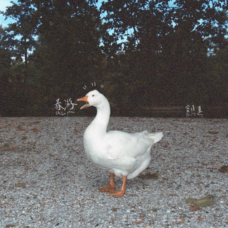 窦靖童《春游》2023头版[WAV分轨][978M]-影音屋