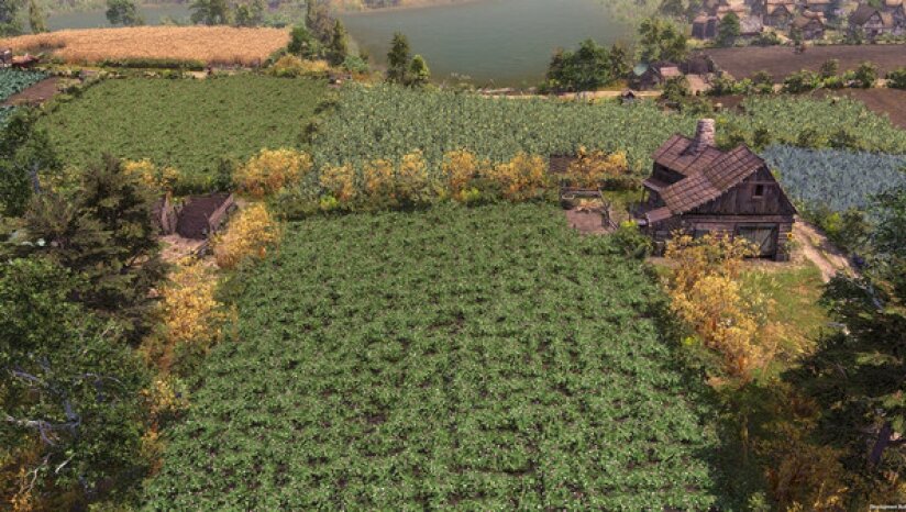 图片[8]-《最远的边陲（Farthest Frontier）》官方中文 RUNE镜像版-影音屋