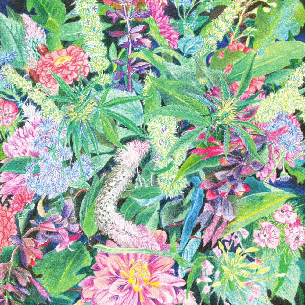 Light-Space Modulator《The Rising Wave》[24Bit-44.1kHz][FLAC/分轨][580.28MB]-影音屋