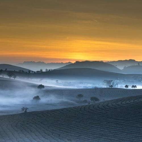 夏小桃《书法室里的悠扬古筝 放松舒心启发灵感》[FLAC/分轨][74.74MB]-影音屋