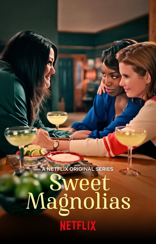 [BT下载][甜木兰 Sweet Magnolias 第一至四季][全04季][英语中字][MKV][720P/1080P][WEB多版]-影音屋