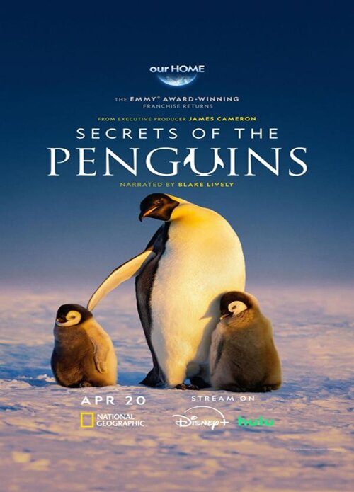 [BT下载][企鹅之谜 Secrets of the Penguins 第一季][全03集][英语中字][MKV][1080P][Disney+-影音屋