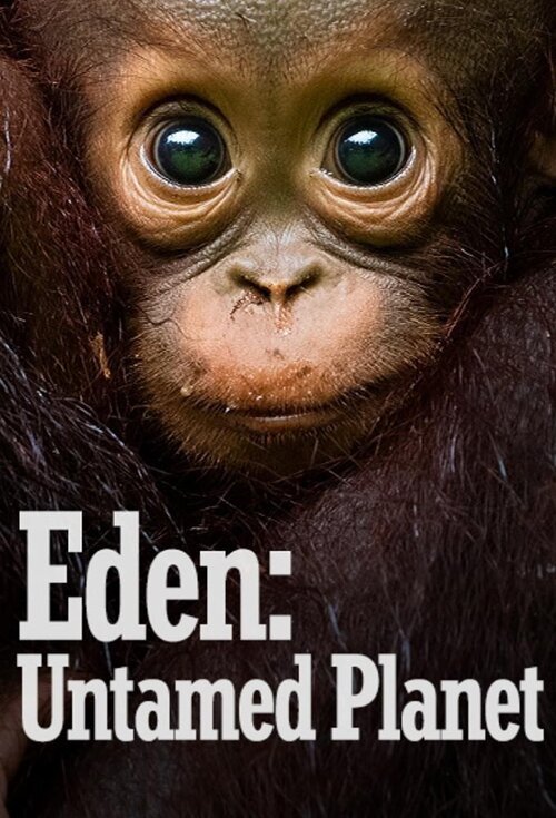 [BT下载][伊甸园：最后的秘境 Eden: Untamed Planet 第一季][全06集][英语无字][MKV][720P/1080P][AMZN-RAW-影音屋