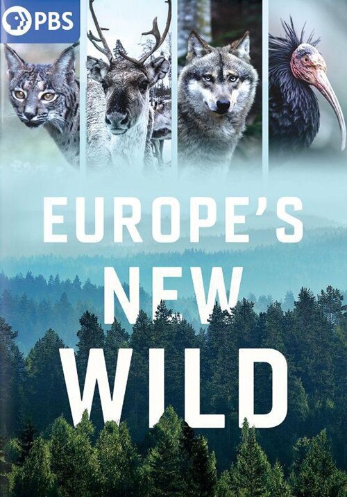 [BT下載][欧洲野性新生 Europes New Wild 第一季][全04集][英语中字][MKV][1080P][WEB+中文字幕-影音屋