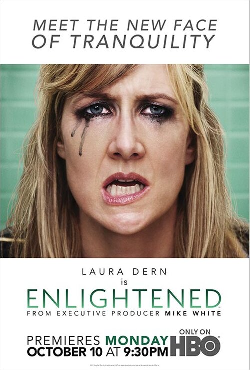 [BT下载][醍醐灌顶 Enlightened 第一至二季][全02季][英语中字][MKV][1080P][WEB+中字文字幕]-影音屋