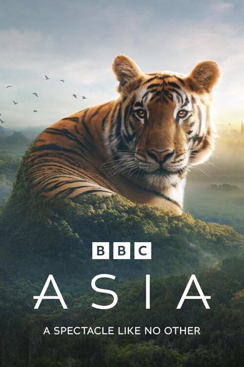 [BT下载][亚洲 Asia 第一季][全07集][英语中字][MKV][1080P/2160P][WEB多版]-影音屋