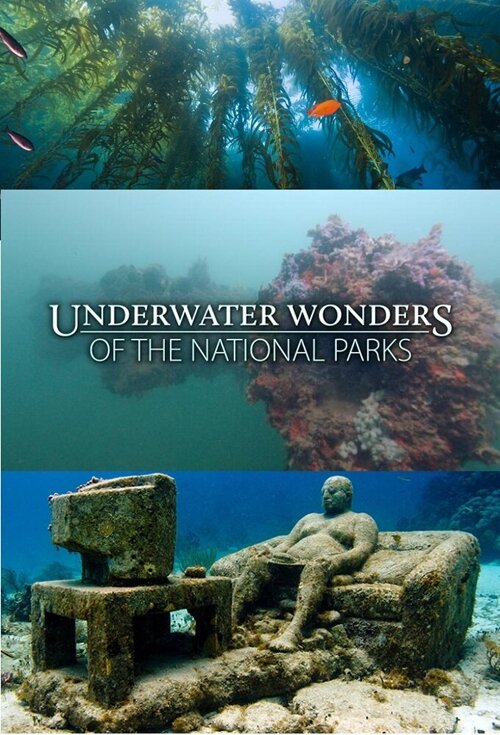 [BT下载][国家公园水下奇观 Underwater Wonders of the National Parks 第一季][全07集][英语无字][MKV][1080P][WEB-RAW]-影音屋