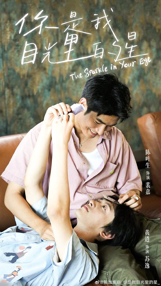 [BT下载][你是我目光里的星][全12集][WEB-MKV/9.32G][简繁英字幕][1080P][流媒体][BlackTV]-影音屋