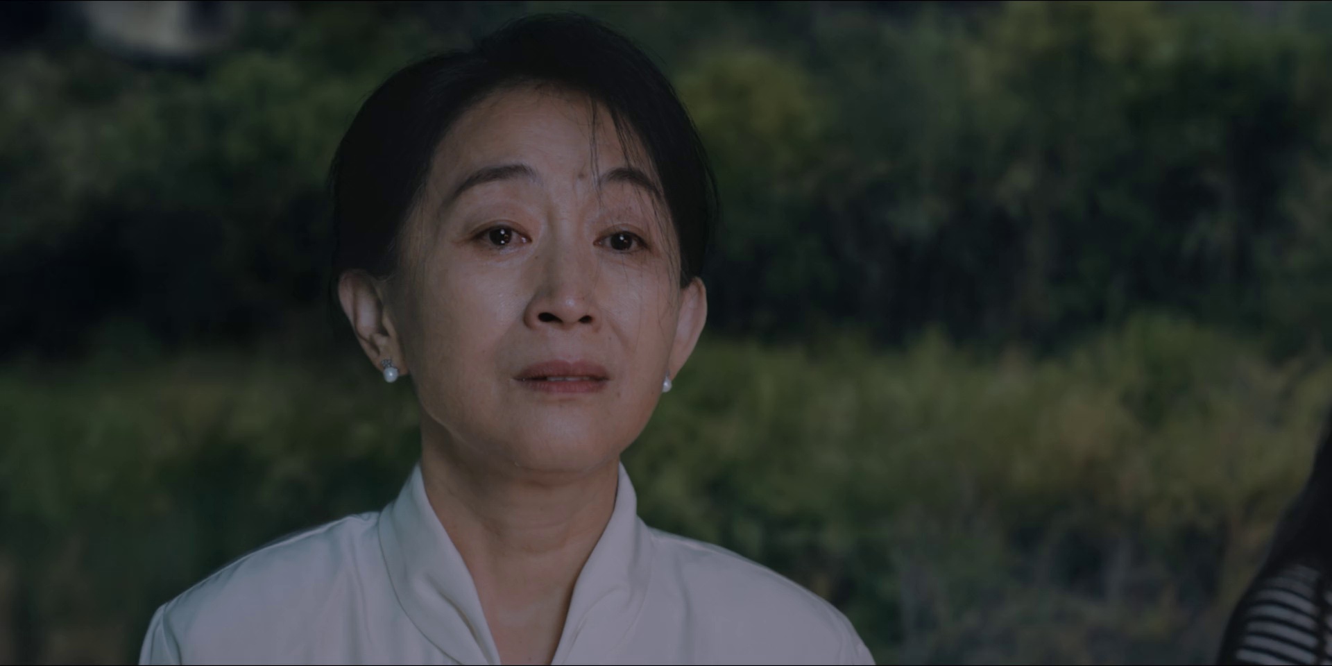图片[3]-[BT下载][目之所及][全16集][WEB-MKV/8.02G][国语配音/中文字幕][1080P][流媒体][ColorTV]-影音屋