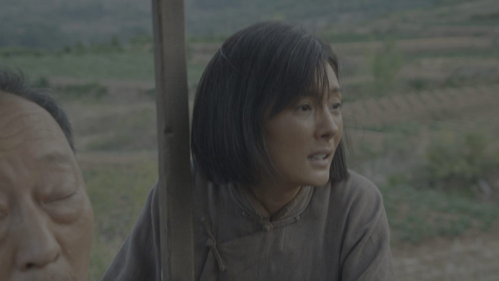图片[5]-[BT下载][生万物][全36集][WEB-MKV/149.52G][国语配音/中文字幕][4K-2160P][HDR版本][H265][流媒体][BlackT-影音屋