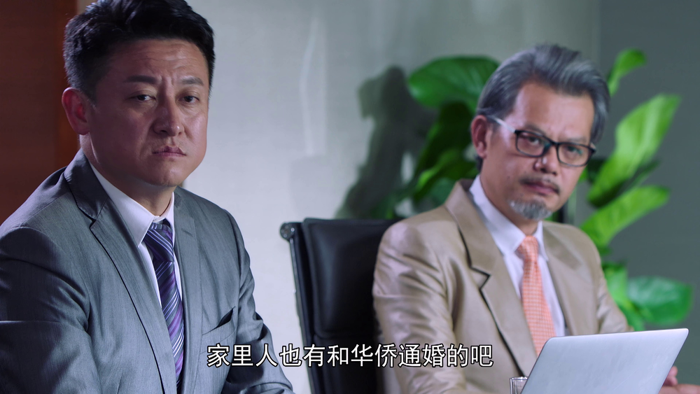 图片[4]-[BT下载][天涯热土][全36集][WEB-MKV/190.44G][国语配音/中文字幕][4K-2160P][H265][流媒体][ColorTV]-影音屋