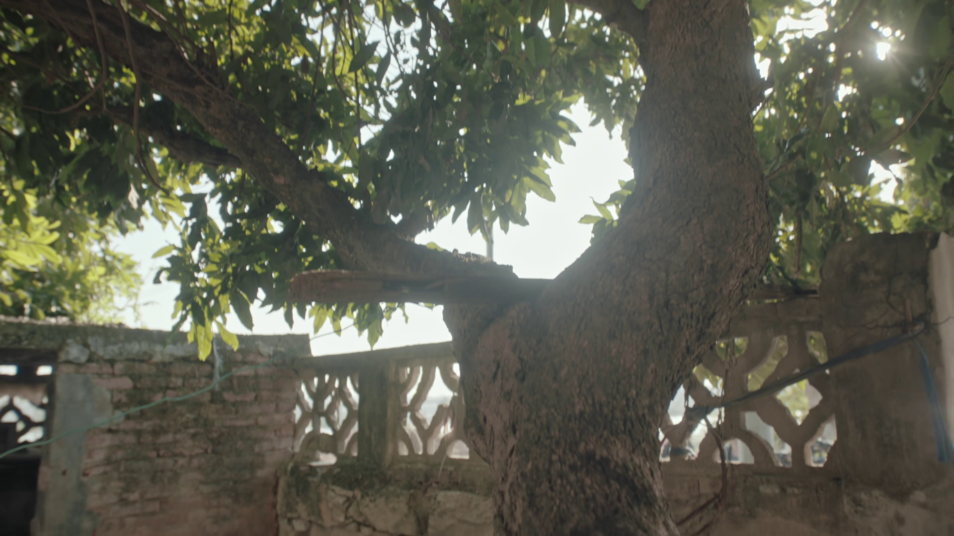 图片[4]-[BT下载][乱码迷局][全22集][WEB-MP4/43.38G][国语配音/中文字幕][1080P][H265][流媒体][ColorTV]-影音屋