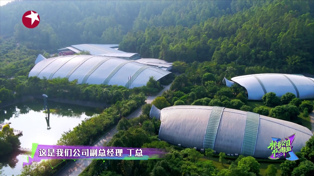 图片[2]-[BT下载][神奇公司在哪里][全10集][WEB-MP4/26.74G][国语配音/中文字幕][4K-2160P][H265][流媒体][ColorTV]-影音屋