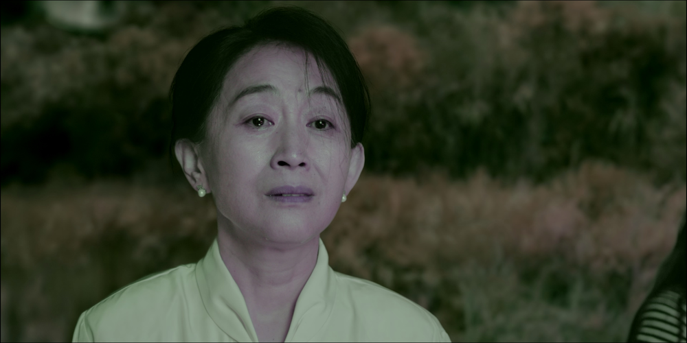 图片[3]-[BT下载][目之所及][全16集][WEB-MP4/58.28G][国语配音/中文字幕][4K-2160P][杜比视界版本][H265][流媒体][-影音屋
