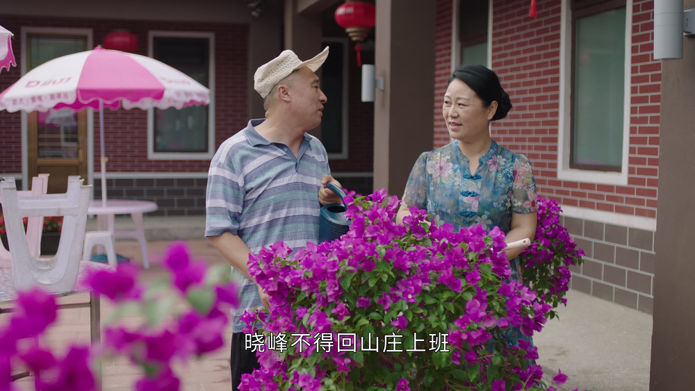 图片[6]-[BT下载][乡村爱情15][全40集][WEB-MP4/235.25G][国语配音/中文字幕][4K-2160P][高码版][H265][流媒体][Col-影音屋
