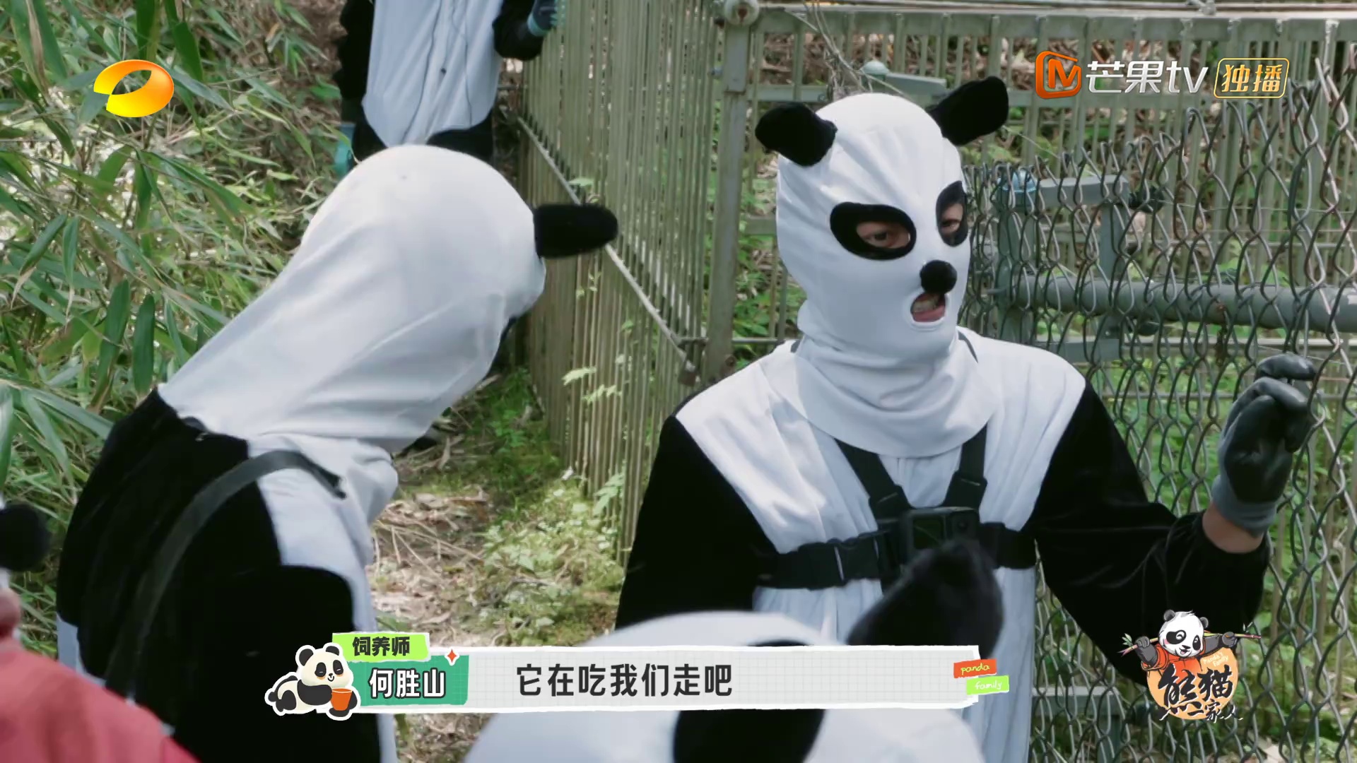 图片[3]-[BT下载][熊猫一家人][全10集][WEB-MP4/12.97G][国语配音/中文字幕][1080P][流媒体][ColorTV]-影音屋
