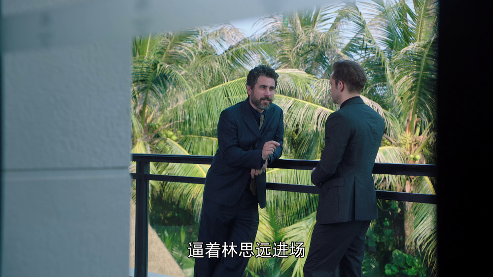 图片[2]-[BT下载][天涯热土][全36集][WEB-MKV/190.44G][国语配音/中文字幕][4K-2160P][H265][流媒体][ColorTV]-影音屋