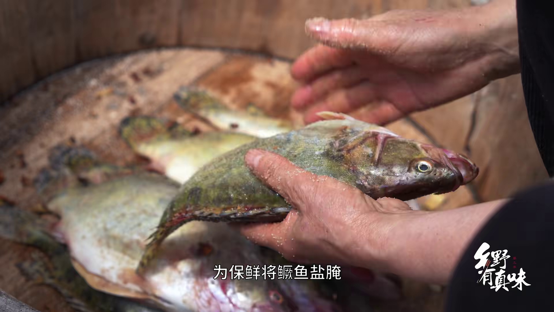 图片[3]-[BT下载][乡野有真味3奇食][全12集][WEB-MKV/1.63G][国语配音/中文字幕][1080P][H265][流媒体][DeePTV]-影音屋
